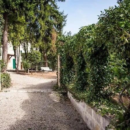 Panzió Zara Siena